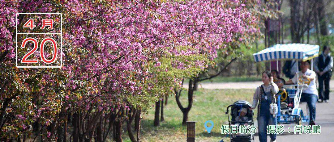 临汾新闻早知道 | 我市5所公立医院招聘103人；临汾青年街景音乐会歌单征集；隰县万亩梨花上央视