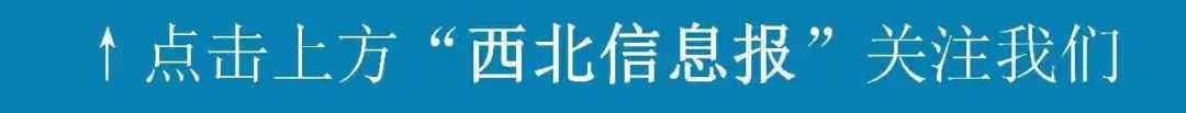 中国环境保护产业协会2024年招聘公告